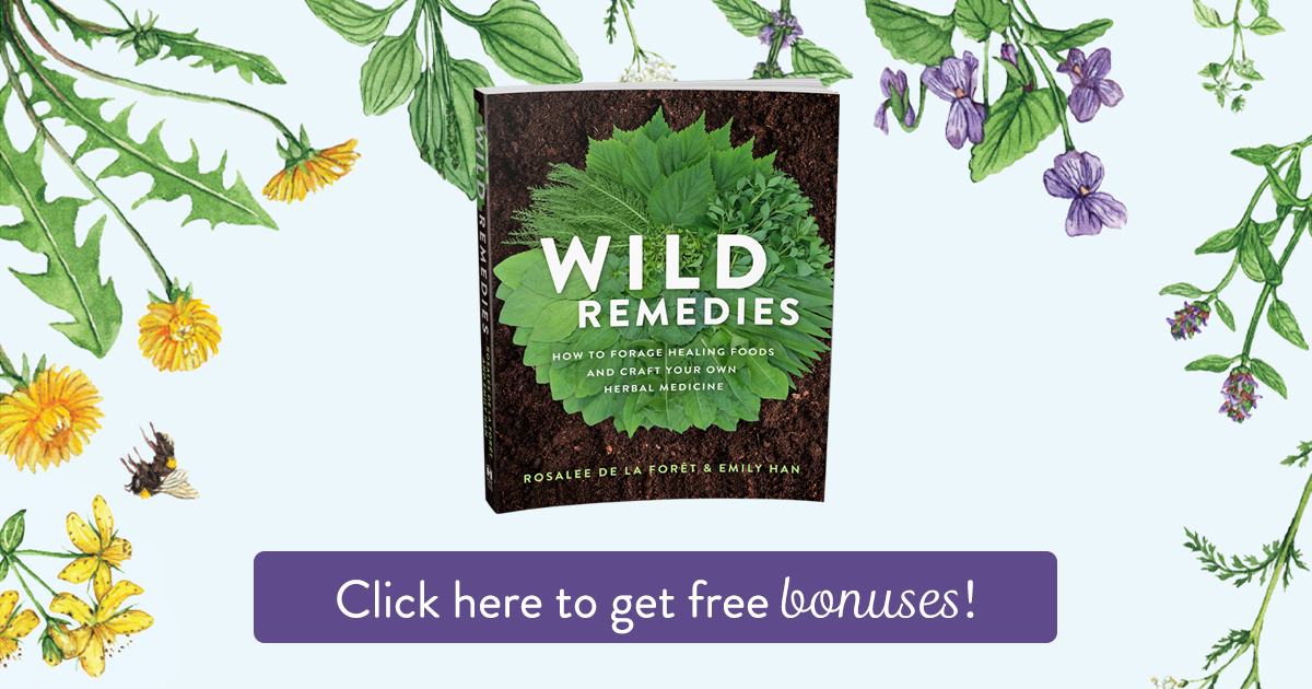 Wild Remedies bonuses